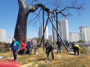 [크기변환](5)_구월1동_회화나무동산_조성-1.jpg