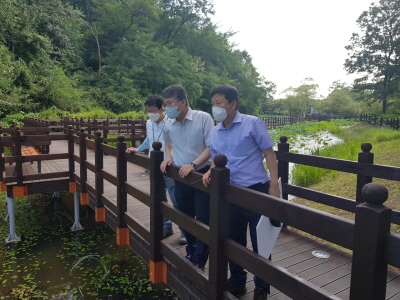 [크기변환]1-1 보도자료 사진(홍인성 인천 중구청장  안골유수지 연꽃단지 현장 시찰).jpeg